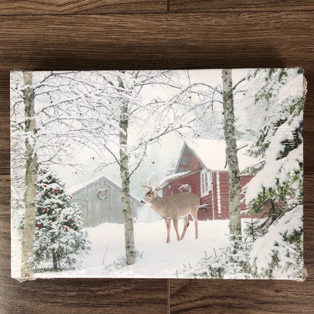 Holiday LED Canvas